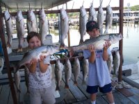 Lake Texoma striper