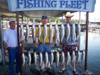 Lake Texoma striper
