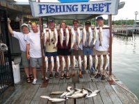 Lake Texoma striper