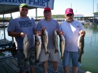 Lake Texoma striper