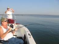 Lake Texoma striper