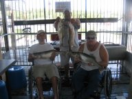 Lake Texoma striper