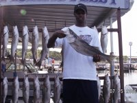 Lake Texoma striper