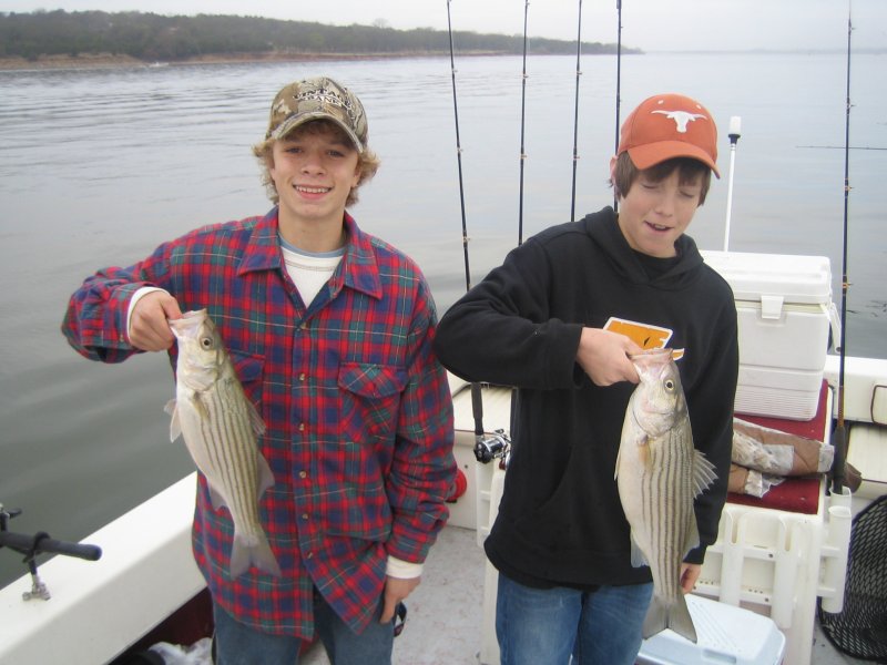 Lake Texoma striper