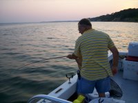 Lake Texoma striper