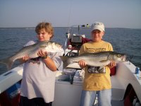 Lake Texoma striper