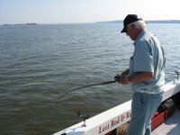 Lake Texoma striper