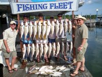 Lake Texoma striper