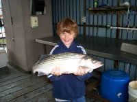 Lake Texoma striper