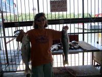 Lake Texoma striper