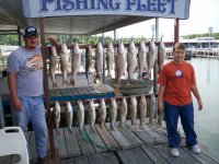 Lake Texoma striper
