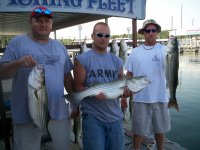 Lake Texoma striper