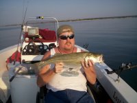 Lake Texoma striper