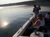 Lake Texoma striper