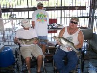 Lake Texoma striper