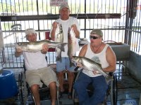 Lake Texoma striper