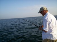 Lake Texoma striper