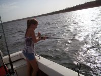 Lake Texoma striper