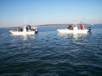 Lake Texoma striper