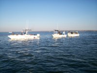 Lake Texoma striper