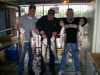 Lake Texoma striper