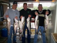 Lake Texoma striper