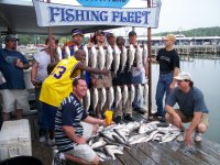 Lake Texoma striper