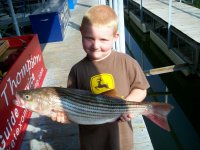Lake Texoma striper