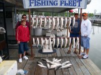 Lake Texoma striper