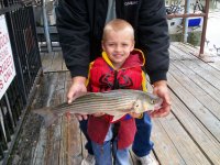 Lake Texoma striper