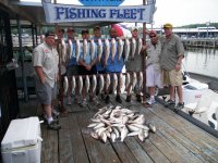 Lake Texoma striper