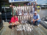 Lake Texoma striper